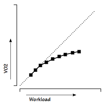 Workload_VO2