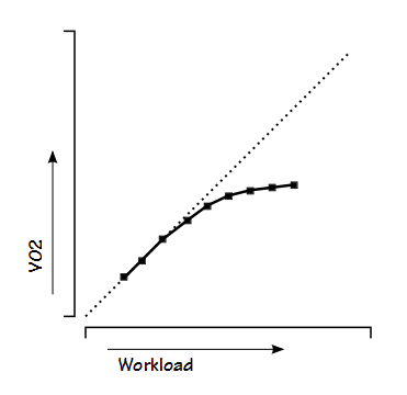 VO2_Workload